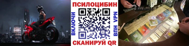 даркнет сайт  Межгорье  Псилоцибиновые грибы мицелий 